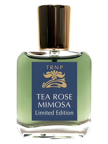 Tea Rose Mimosa - Limited Edition
