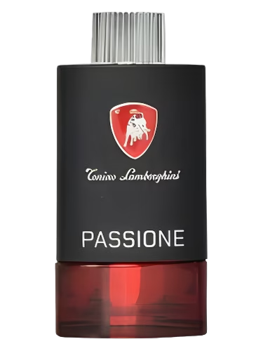 Tecno Passione