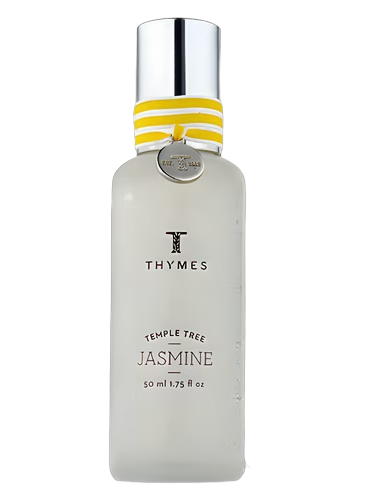 Temple Tree Jasmine