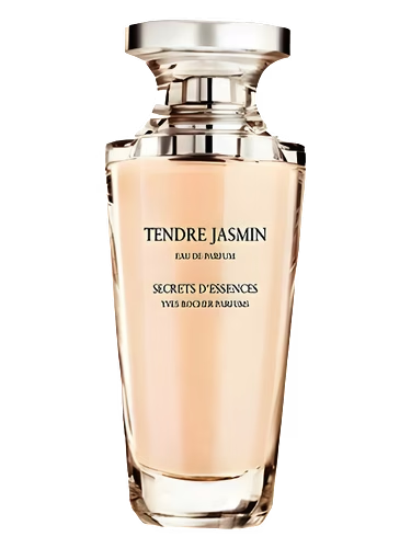 Tendre Jasmin