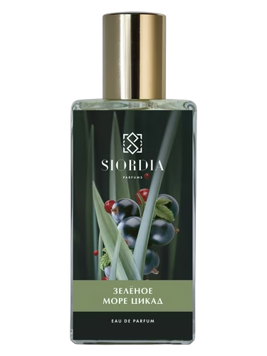 The Green Sea of Сicadas (Зеленое Море Цикад)