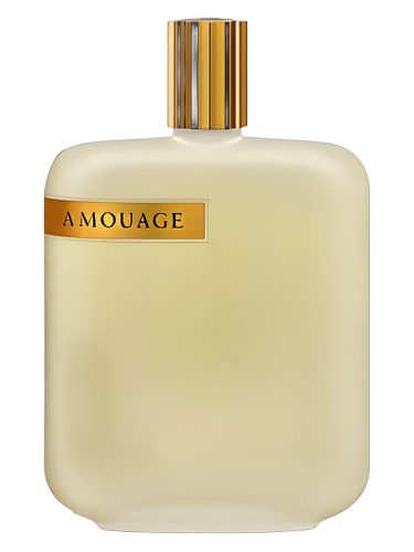 The Library Collection Opus II by Amouage