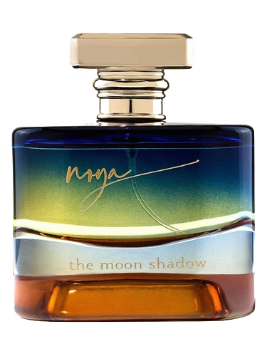The Moon Shadow