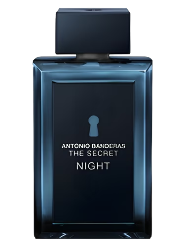 The Secret Night