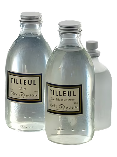 Tilleul (Lime Tree)