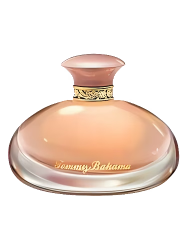 Tommy Bahama