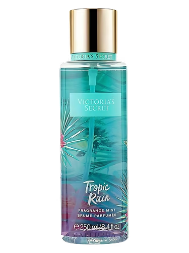 Tropic Rain