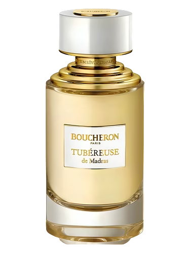 Tubéreuse De Madras