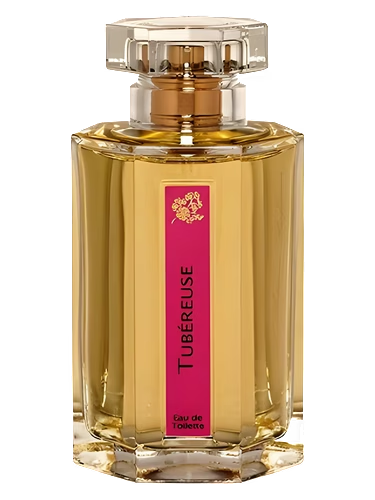 Tubereuse