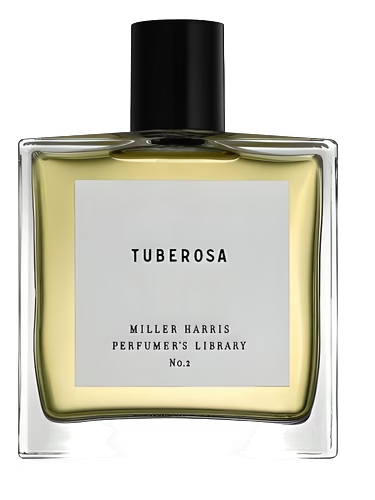 Tuberosa