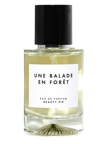 Une Balade En Forêt