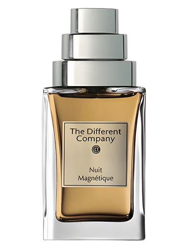 Une Nuit Magnetique