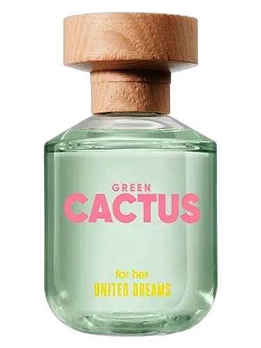 United Dreams Green Cactus For Her