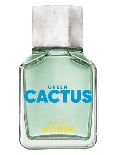 United Dreams Green Cactus For Him