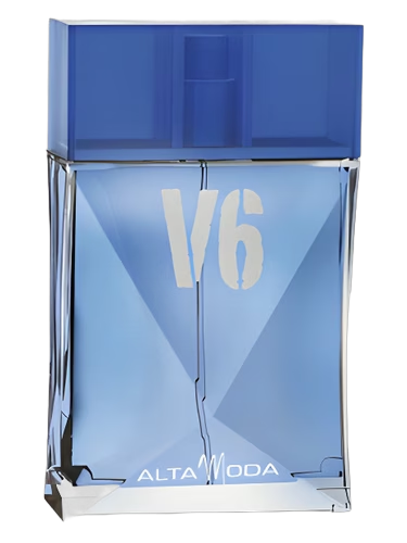 V6