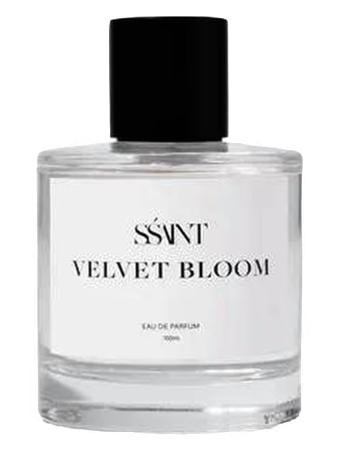 Velvet Bloom