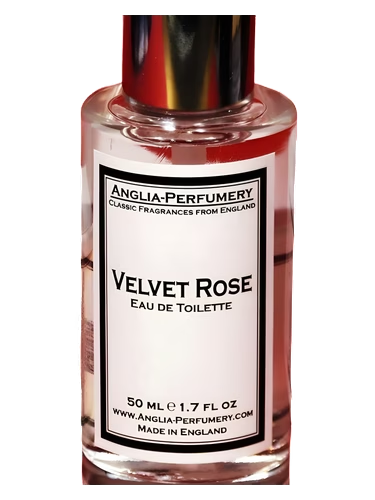 Velvet Rose