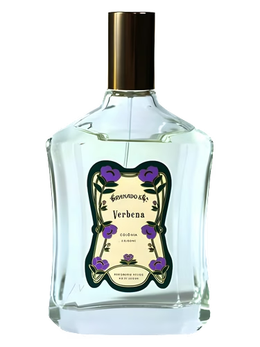 Verbena