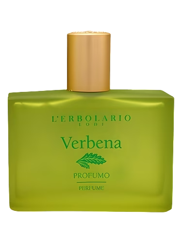 Verbena