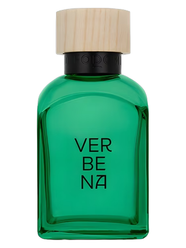 Verbena Hombre