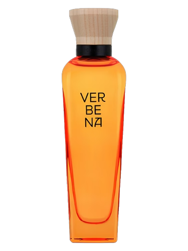 Verbena Mujer