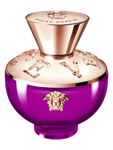 Versace Pour Femme Dylan Purple