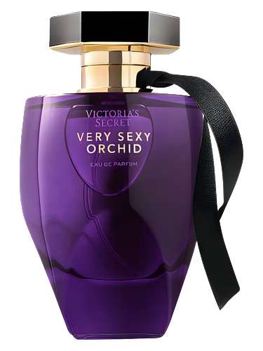 Very Sexy Orchid
