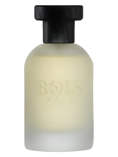 Vetiver Ambrato