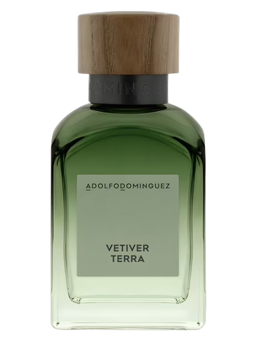 Vetiver Terra