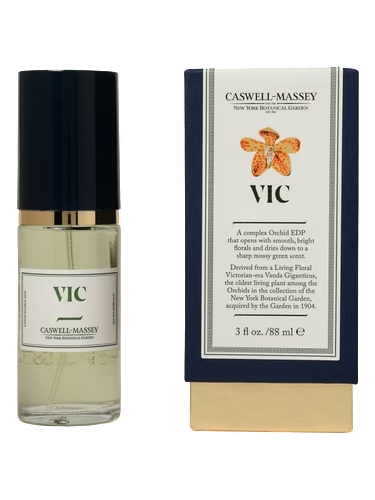 VIC Orchid