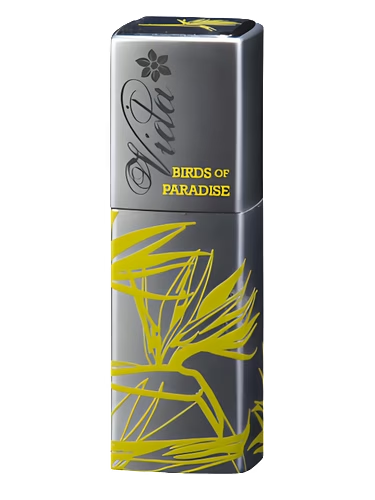 Vida Birds of Paradise