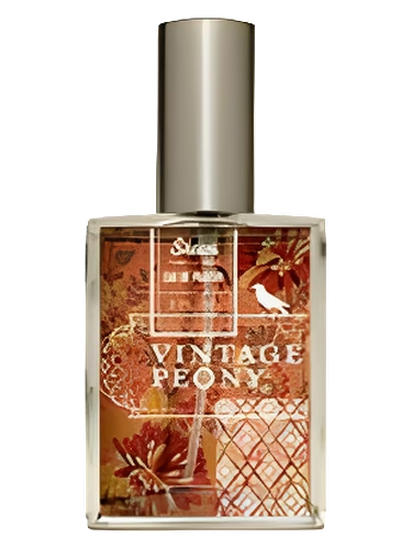 Vintage Peony
