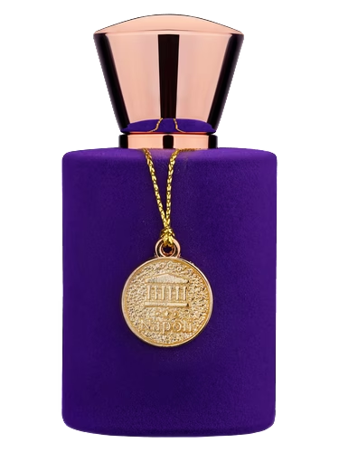 Viola