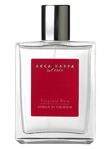 Virginia Rose by Acca Kappa