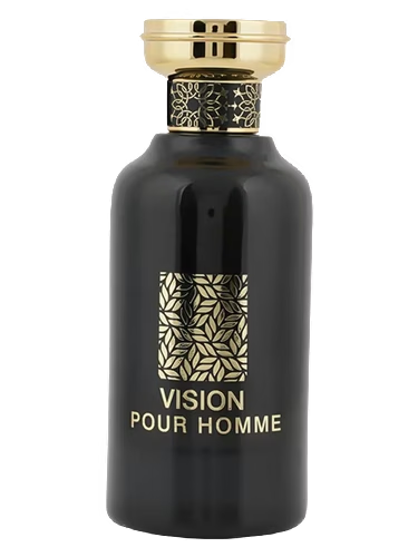 Vision Pour Homme