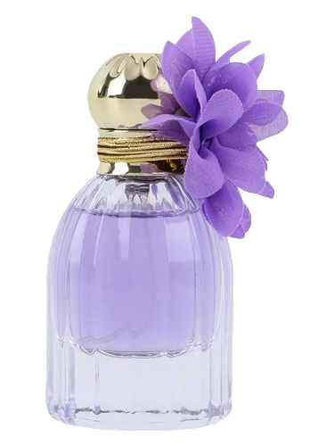 Vivi Flora