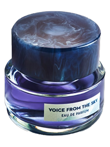 Voice From The Sky