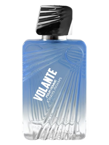 Volante Pour Homme