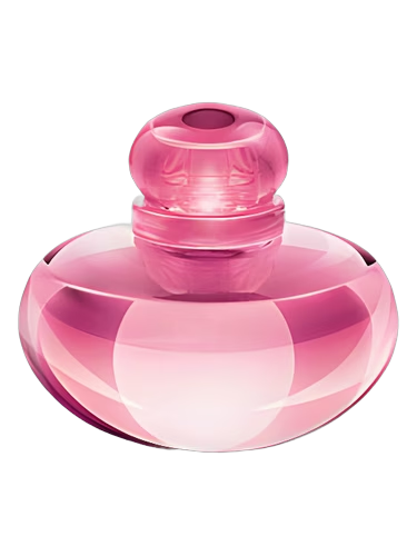 Volare Magnolia
