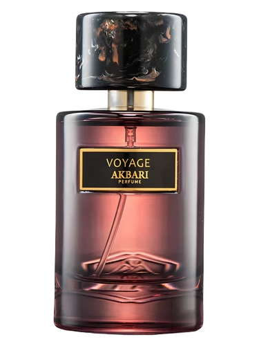 Voyage