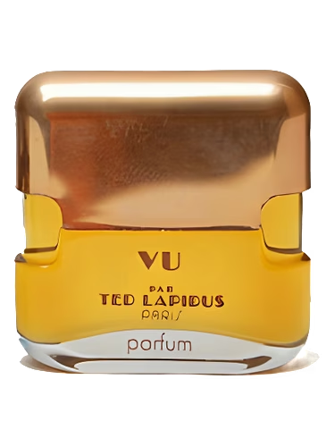 Vu par Ted Lapidus