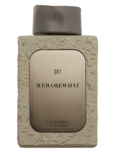 WeWoreWhat 001