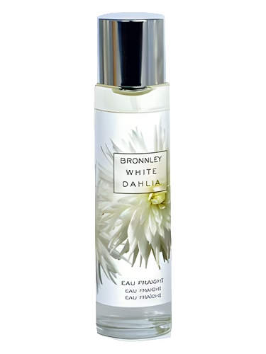White Dahlia