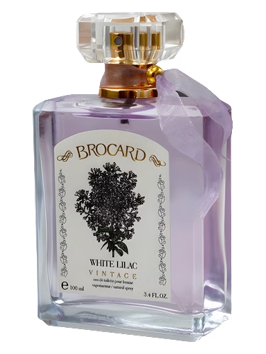 White Lilac Vintage