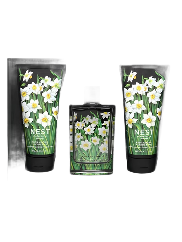 White Narcisse