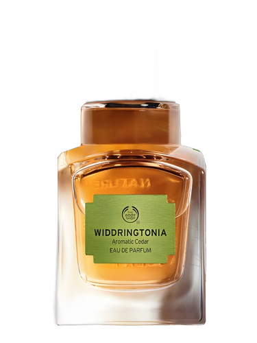 Widdringtonia