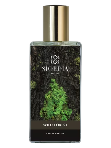 Wild Forest