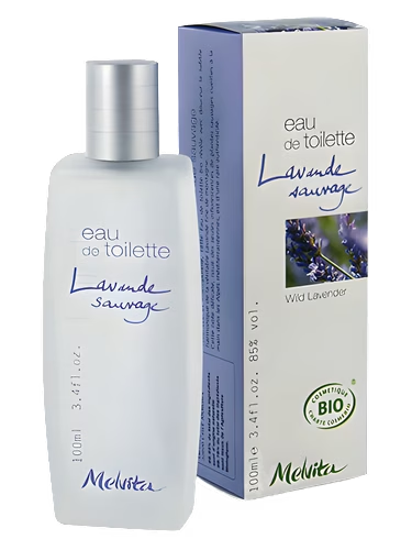 Wild Lavender
