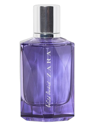 Wild Orchid