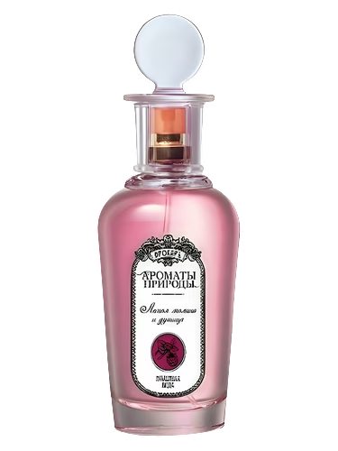 Лесная Малина и Душица - Wild Raspberries and Oregano